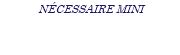 NÉCESSAIRE MINI