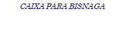 CAIXA PARA BISNAGA