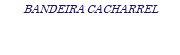 BANDEIRA CACHARREL