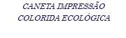 CANETA IMPRESSÃO COLORIDA ECOLÓGICA