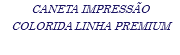 CANETA IMPRESSÃO COLORIDA LINHA PREMIUM