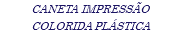 CANETA IMPRESSÃO COLORIDA PLÁSTICA